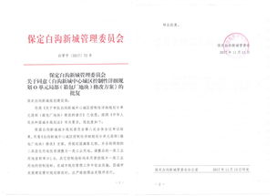 白沟新城敏谱箱包厂 从箱包制造到美发饰品销售的跨界探索